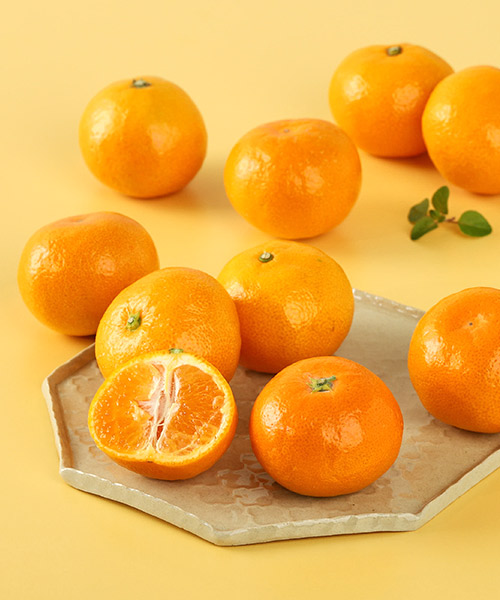 비파괴 당도선별 타이벡감귤 4.5kg(로얄과/12brix이상)